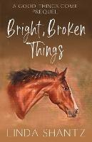 Bright, Broken Things: Good Things Come Book 0.5 (A Prequel) - Linda Shantz - cover