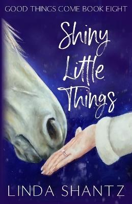 Shiny Little Things - Linda Shantz - cover