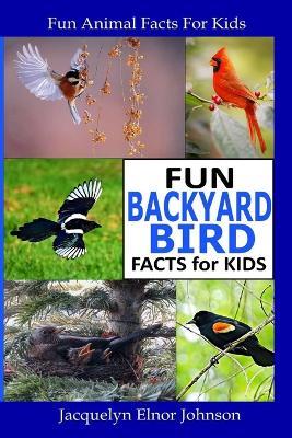 Fun Backyard Bird Facts for Kids - Jacquelyn Elnor Johnson - cover