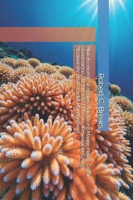 Blue Economy Strategies: Advancing Marine Policy, Ocean Governance, Sustainable Fisheries, Renewable Energy, Biodiversity, and Coastal Management - Robert C Brears - cover