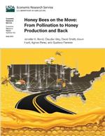 Honey Bees on the Move: From Pollination to Honey Production and Back