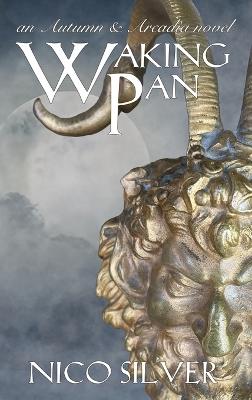Waking Pan - Nico Silver - cover
