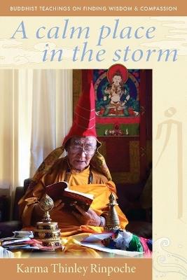 A Calm Place in the Storm: Buddhist Teachings on Finding Wisdom and Compassion - Karma Thinley Rinpoche - cover
