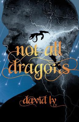 Not All Dragons - David Ly - cover