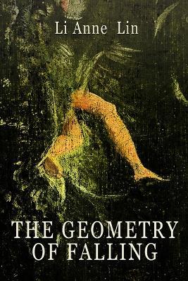 The Geometry of Falling - Li Anne Lin - cover
