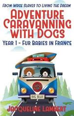 Year 1 - fur babies in France: from wage slaves to living the dream