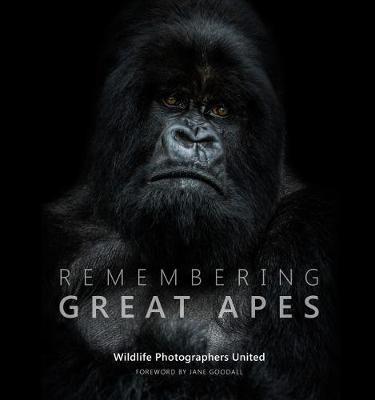 Remembering Great Apes - cover