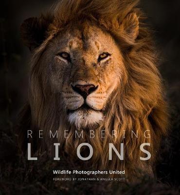 Remembering Lions - cover