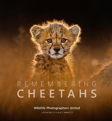 Remembering Cheetahs - cover