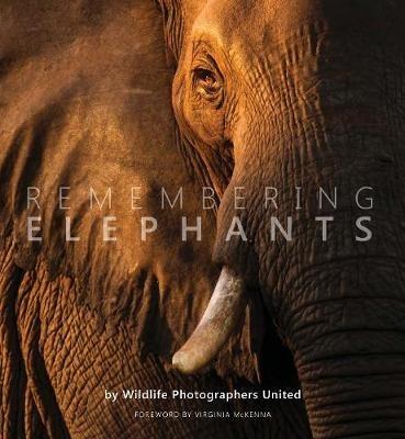 Remembering Elephants - cover