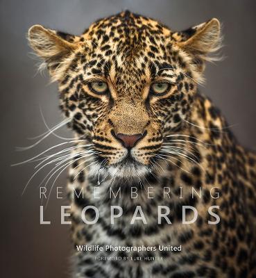 Remembering Leopards - cover