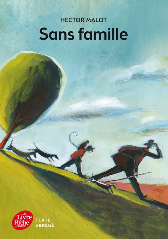 Sans famille - Texte Abrégé - Hector Malot,Olivier Tallec - ebook