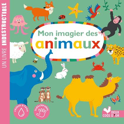 Mon imagier des animaux - Nastja Holtfreter - ebook