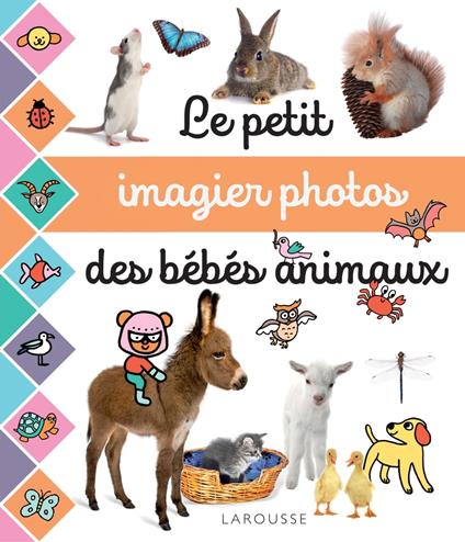Le petit imagier photos : les bébés animaux - Cogumelo Club - ebook