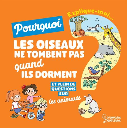 Explique moi - Les animaux - Emmanuelle Kecir-Lepetit,Candela Ferrandez - ebook