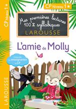 Mes premières lectures 100 % syllabiques L'ami de Molly