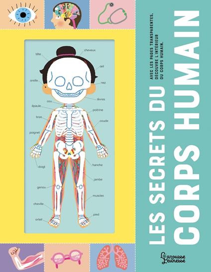 Les secrets du corps humain - Mélisande Luthringer - ebook