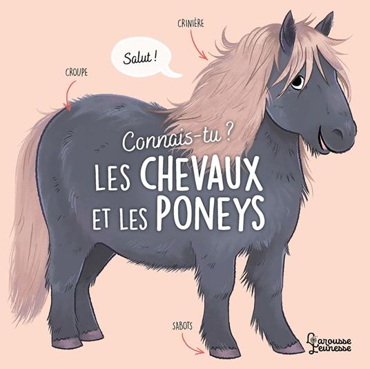 Connais-tu ? Les chevaux et les poneys - Agnès Besson,Axelle VANHOOF - ebook