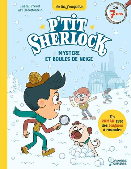 Mystères et boules de neige - Pascal Prévôt,Art Grootfontein - ebook