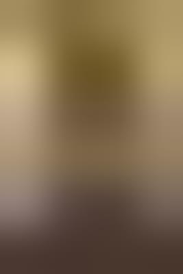 Demain j'aurai vingt ans - Alain Mabanckou - cover