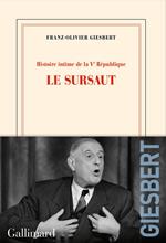 Histoire intime de la Ve République (Tome 1) - Le sursaut