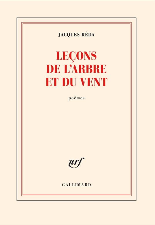 Leçons de l'arbre et du vent