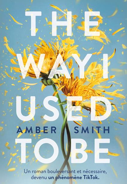 The Way I used to be - Amber Smith - ebook