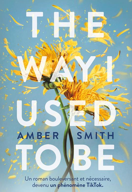 The Way I used to be - Amber Smith - ebook