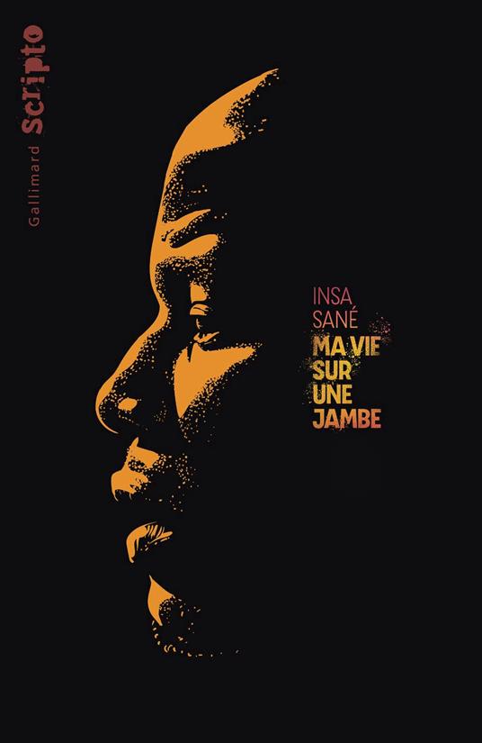 Ma vie sur une jambe - Insa Sané - ebook