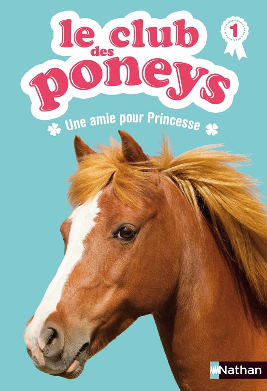 Une amie pour princesse - Sylvie Baussier,Olivier Rabouan,Lisa Pelissier - ebook