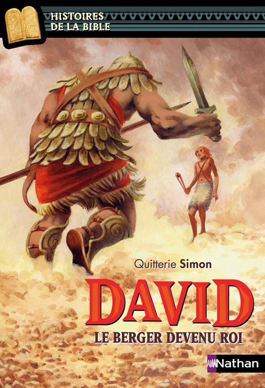 David le berger devenu roi - Marie-Thérèse Davidson,Simon Quitterie,Quitterie Simon,Julie Ricossé - ebook