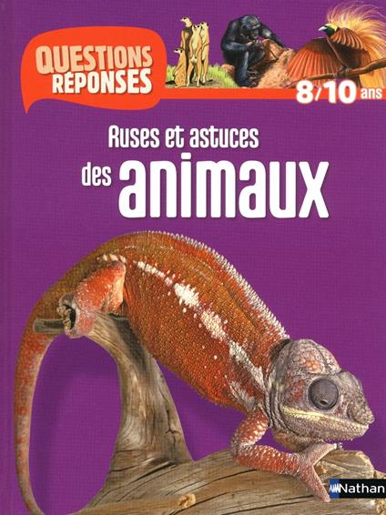 Ruses et astuces des animaux - Questions/Réponses - doc dès 10 ans - Emmanuelle Ousset,Buster Bone,Sandrine Lefèbvre - ebook