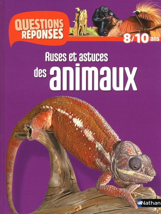 Ruses et astuces des animaux - Questions/Réponses - doc dès 10 ans - Emmanuelle Ousset,Buster Bone,Sandrine Lefèbvre - ebook