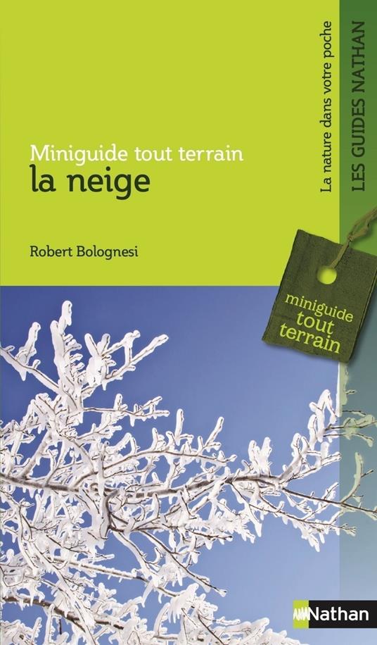 La neige