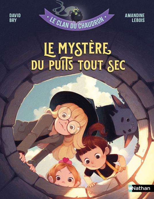 Le clan du chaudron - Le mystère du puits tout sec (T7) - dès 7 ans - David Bry,Amandine Lebois - ebook