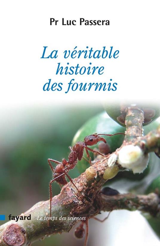 La véritable histoire des fourmis