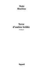 Terre d'ombre brûlée