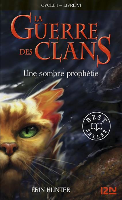 La guerre des Clans - cycle I - tome 6 Une sombre prophétie - Erin Hunter,Aude CARLIER - ebook