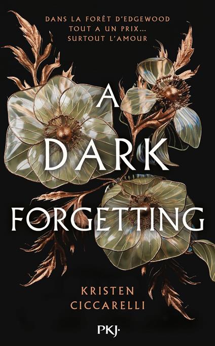 A Dark Forgetting - Kristen Ciccarelli - ebook
