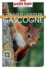 Guide Coteaux Et Landes De Gascogne 2025 Carnet Petit Futé