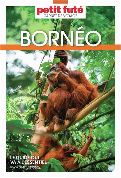 Guide Bornéo 2026 Carnet Petit Futé