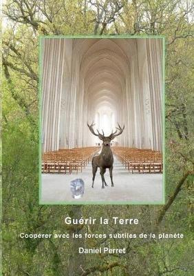 Guérir la Terre: Une coopération avec les forces subtiles de la planète - Daniel Perret - cover
