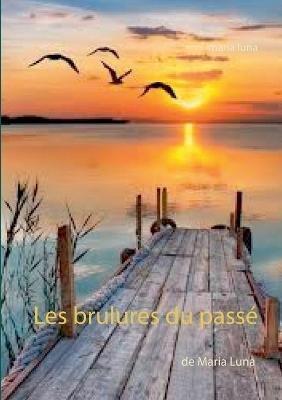 Les brulures du passe - Maria Luna - cover