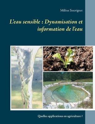 L'eau sensible: Dynamisation et information de l'eau: Quelles applications en agriculture ? - Milène Souvignet - cover