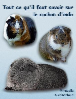 Tout ce qu'il faut savoir sur le cochon d'inde (nouvelle édition): nouvelle édition - Mirabelle C Vomscheid - cover