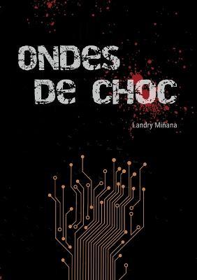 Ondes de choc - Landry Miñana - cover