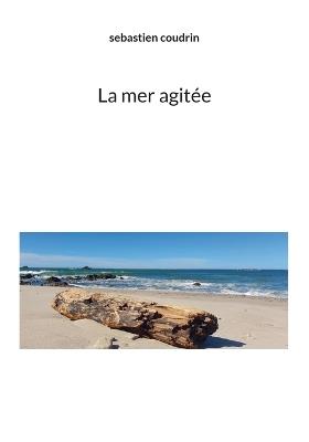 La mer agitée - Sebastien Coudrin - cover
