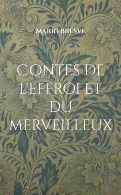 Contes de l'effroi et du merveilleux: Recueil de treize contes - Marig Bresve - cover
