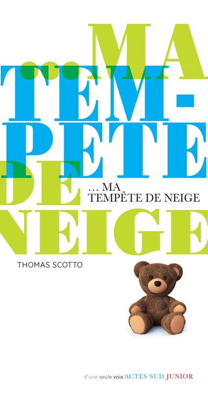 Ma tempête de neige - Thomas Scotto - ebook