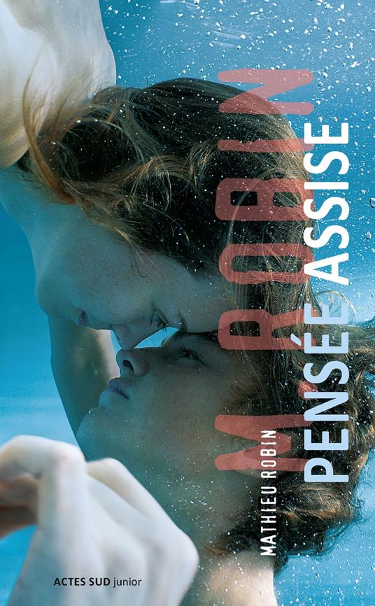 Pensée assise - Mathieu Robin - ebook